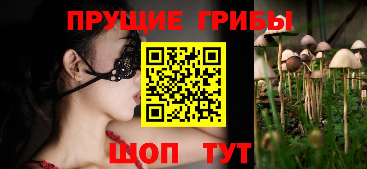 A PVP Ессентуки
