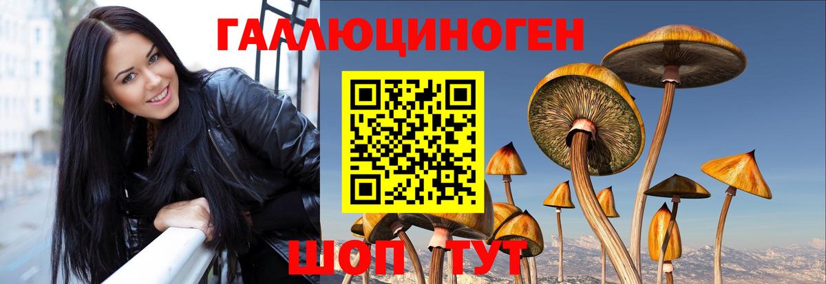 Псилоцибиновые грибы Magic Shrooms Ессентуки